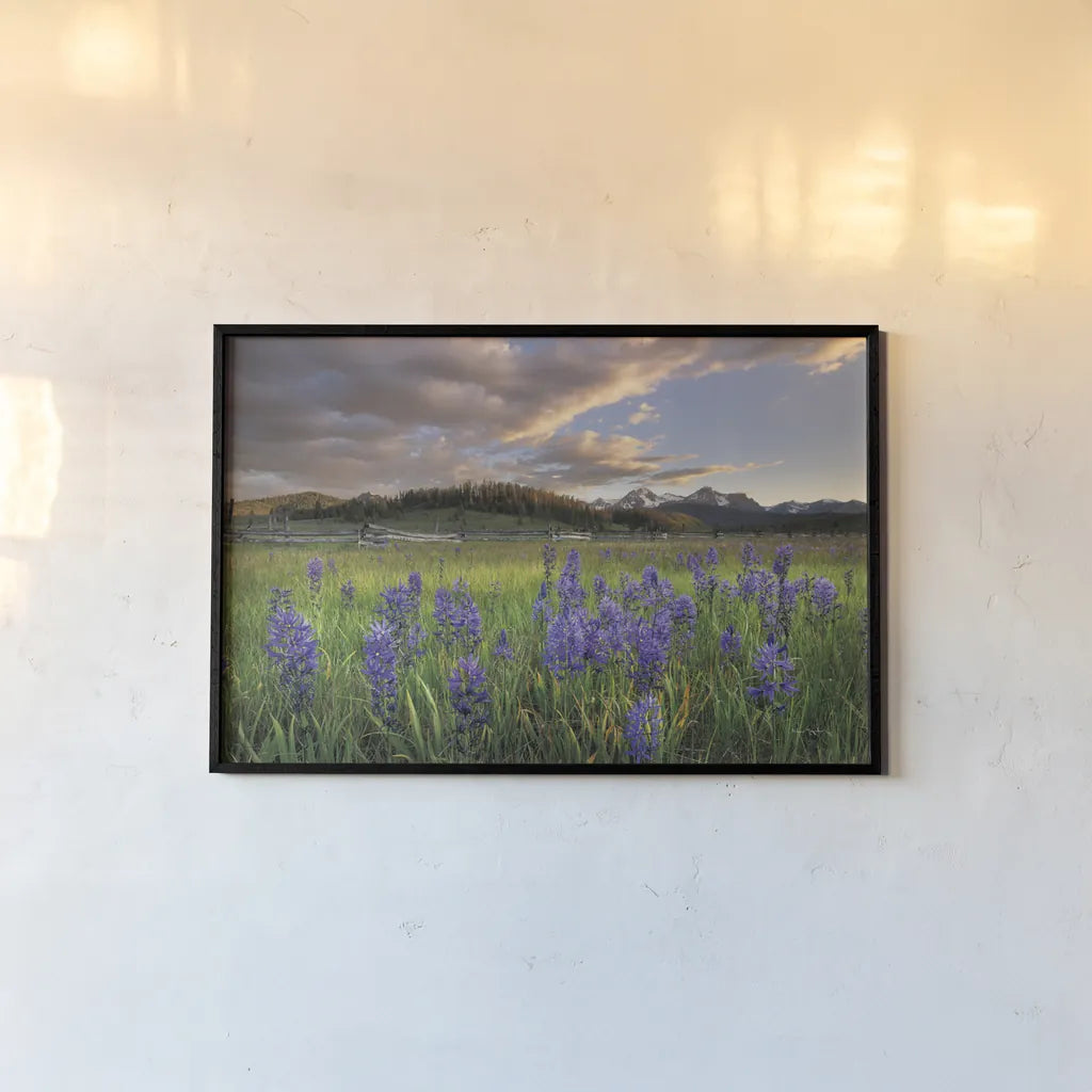 Camas Meadows by Alan Majchrowicz. shown as a paper print in a black flame. Available as a archival giclee rolled canvas, fine art paper, or poster print. SKU 90659i.
