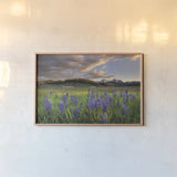 Camas Meadows by Alan Majchrowicz. shown as a paper print in a natural frame. Available as a archival giclee rolled canvas, fine art paper, or poster print. SKU 90659i.