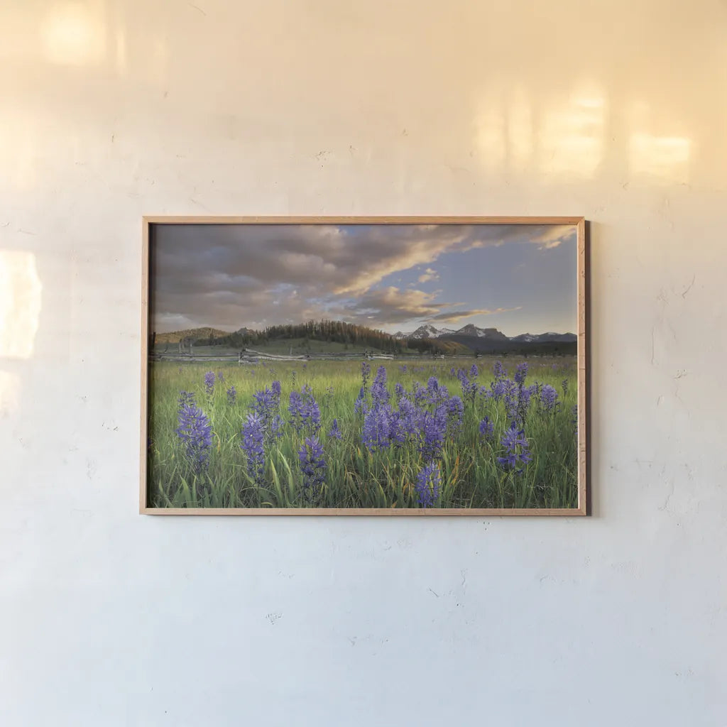 Camas Meadows by Alan Majchrowicz. shown as a paper print in a natural frame. Available as a archival giclee rolled canvas, fine art paper, or poster print. SKU 90659i.