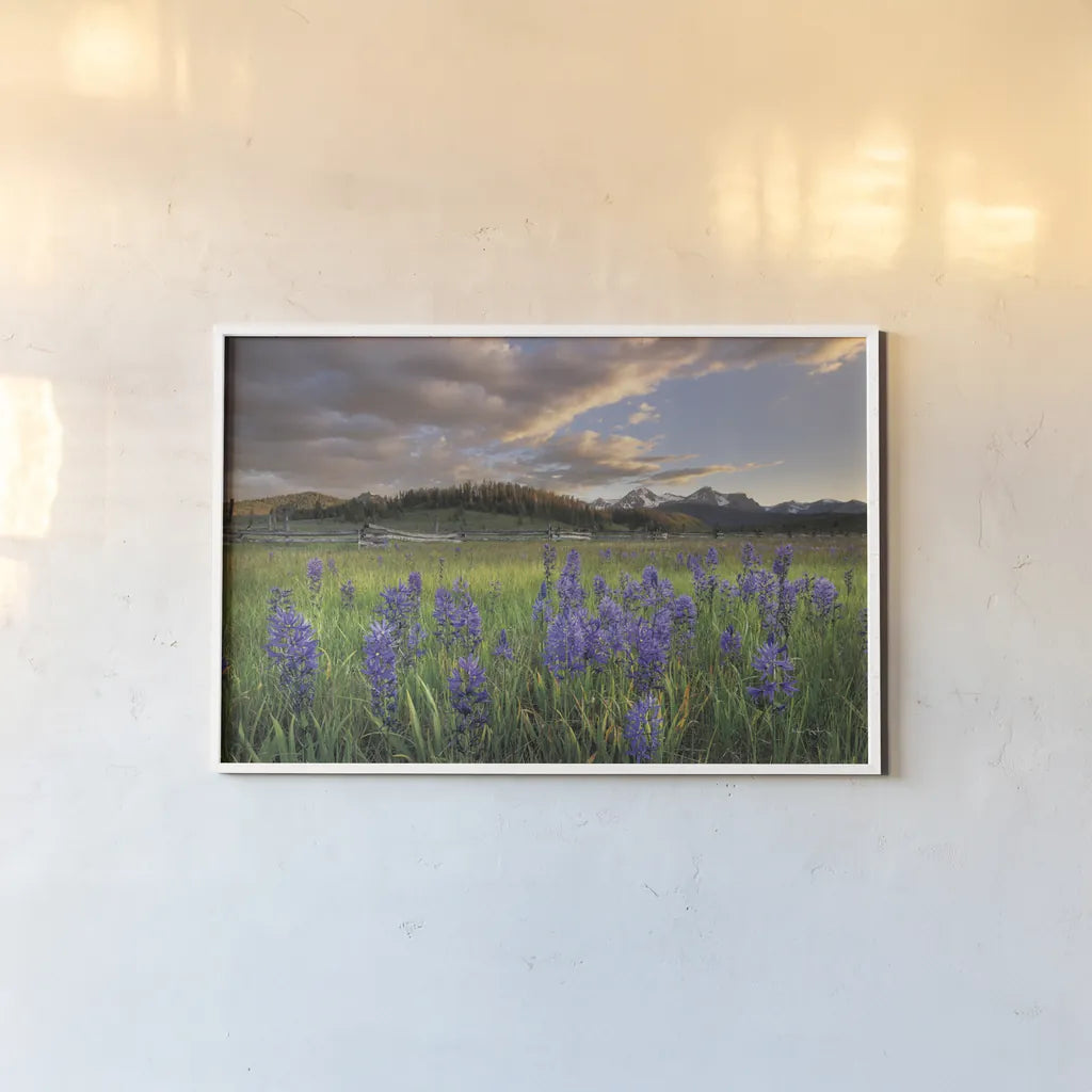Camas Meadows by Alan Majchrowicz. shown as a paper print in a white frame. Available as a archival giclee rolled canvas, fine art paper, or poster print. SKU 90659i.