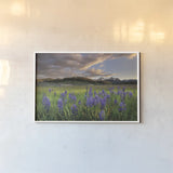 Camas Meadows by Alan Majchrowicz. shown as a paper print in a white frame. Available as a archival giclee rolled canvas, fine art paper, or poster print. SKU 90659i.