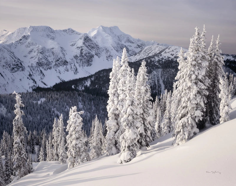 Cariboo Mountains by Alan Majchrowicz