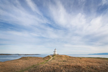Cattle Point Lighthouse by Alan Majchrowicz. SKU 86299i. Archival Giclee Fine art print for wall decor.