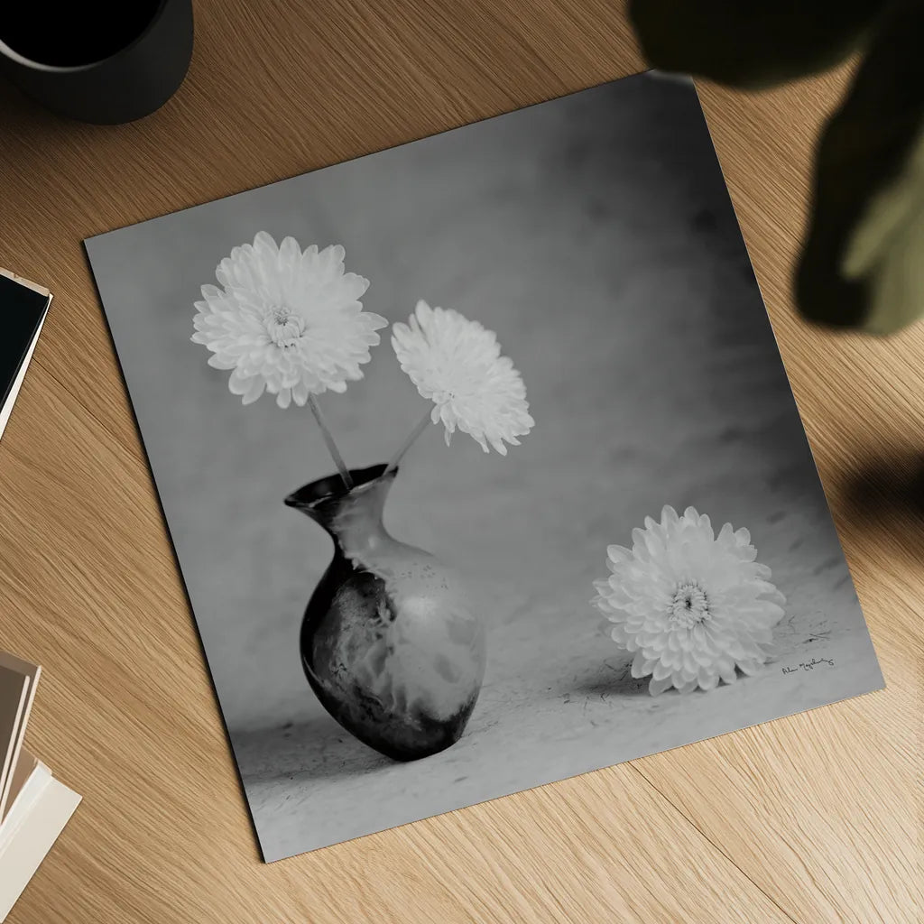 Chrysanthemum I by Alan Majchrowicz. Shown as a detailed flat fine art print, highlighting archival giclee quality. Available as an archival giclee rolled canvas, fine art paper, or poster print. SKU 44145a.