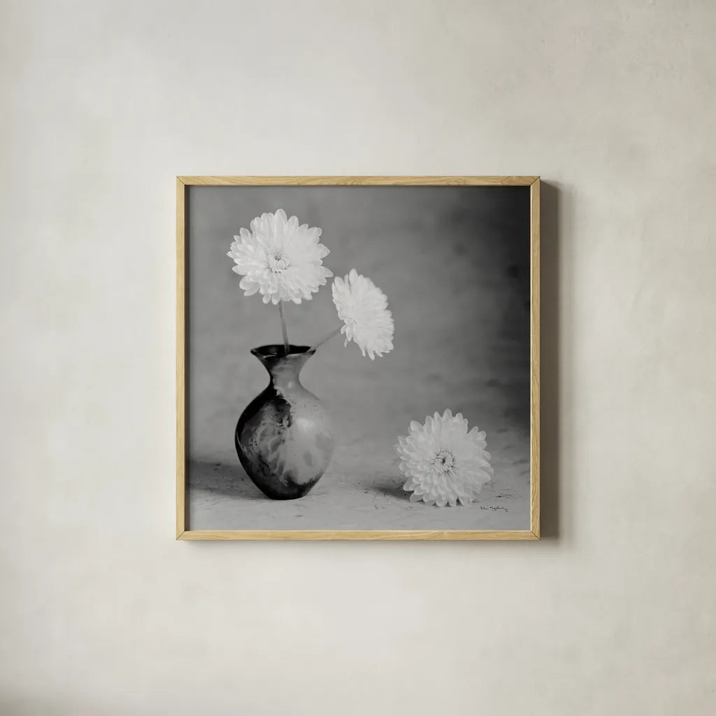 Chrysanthemum I by Alan Majchrowicz. Shown in a natural wood glass frame for a timeless modern aesthetic. Available as an archival giclee rolled canvas, fine art paper, or poster print. SKU 44145a.
