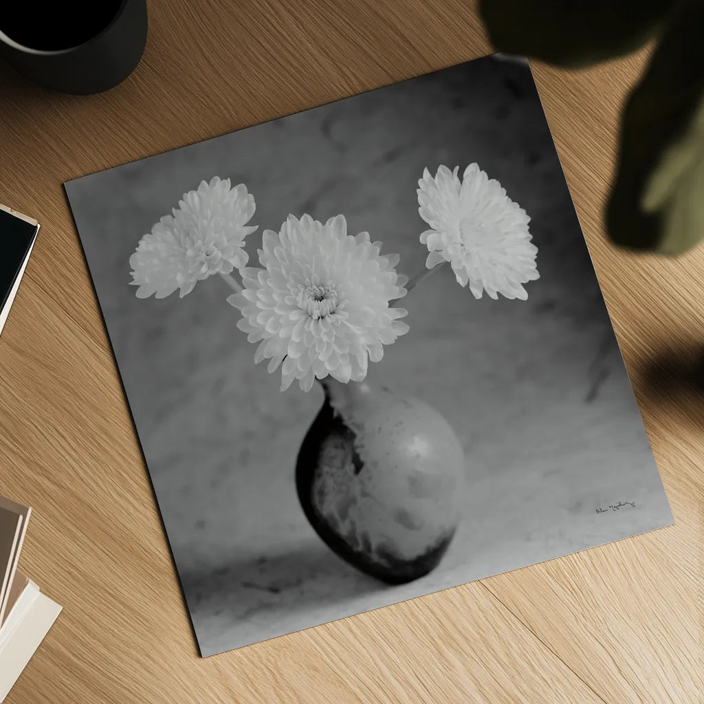 Chrysanthemum IV by Alan Majchrowicz. Shown as a detailed flat fine art print, highlighting archival giclee quality. Available as an archival giclee rolled canvas, fine art paper, or poster print. SKU 100518a.