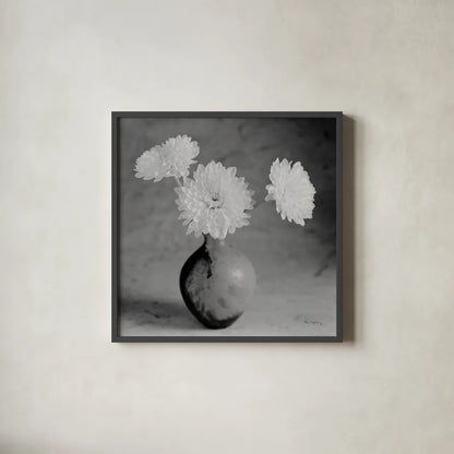 Chrysanthemum IV by Alan Majchrowicz. Shown in a sleek black glass frame for a contemporary gallery look. Available as an archival giclee rolled canvas, fine art paper, or poster print. SKU 100518a.