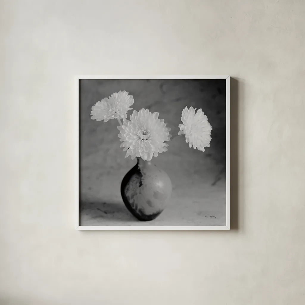 Chrysanthemum IV by Alan Majchrowicz. Shown in a crisp white glass frame for a clean and minimalist style. Available as an archival giclee rolled canvas, fine art paper, or poster print. SKU 100518a.