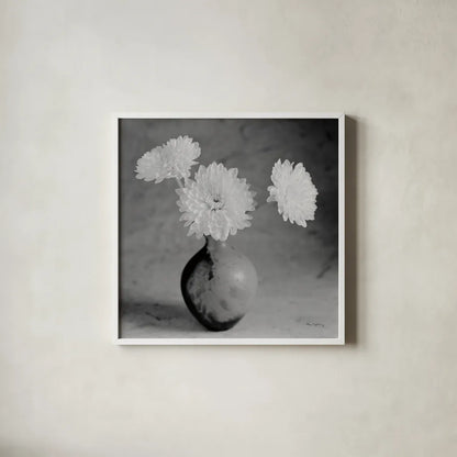 Chrysanthemum IV by Alan Majchrowicz. Shown in a crisp white glass frame for a clean and minimalist style. Available as an archival giclee rolled canvas, fine art paper, or poster print. SKU 100518a.