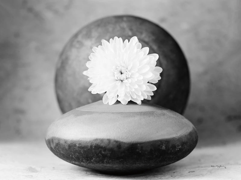 Chrysanthemum and raku pots by Alan Majchrowicz