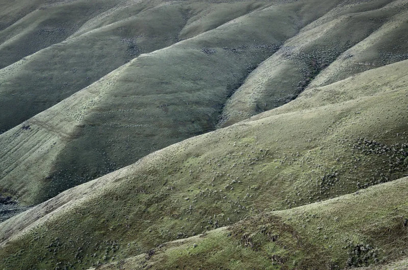 Columbia Plateau Oregon by Alan Majchrowicz. SKU 63239i. Archival Giclee Fine art print for wall decor.