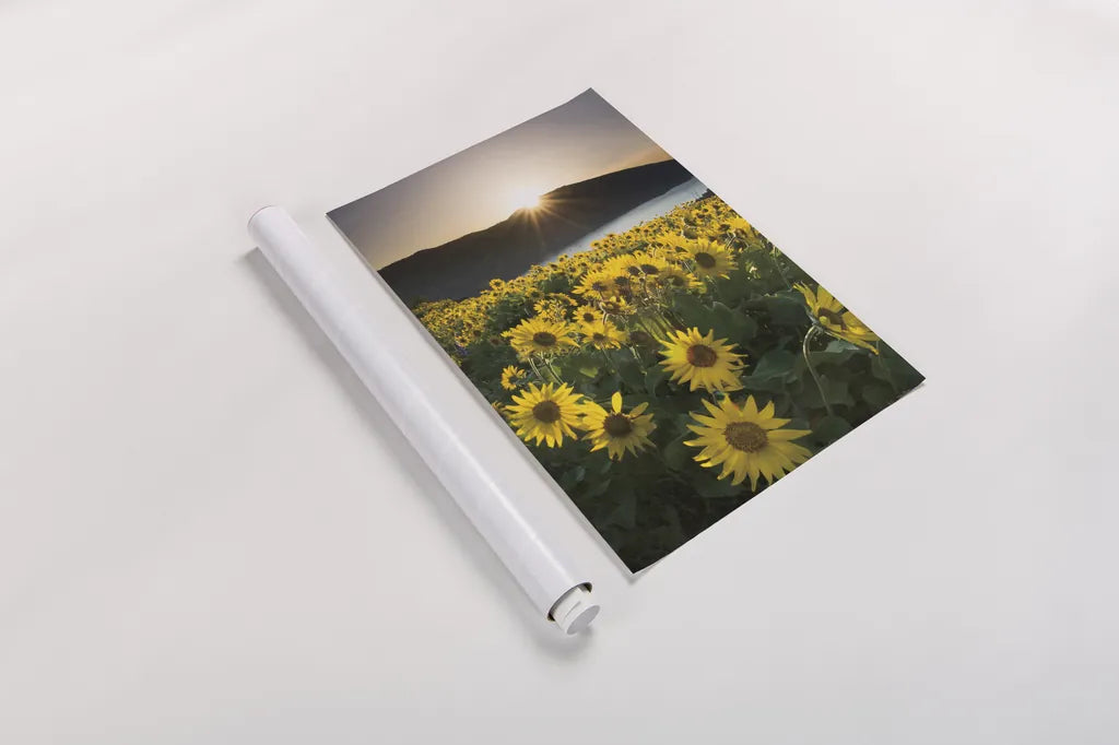 Columbia River Gorge Sunrise by Alan Majchrowicz. shown as a rolled paper print. Available as archival giclee rolled canvas, fine art paper, or poster print. SKU 33789h.