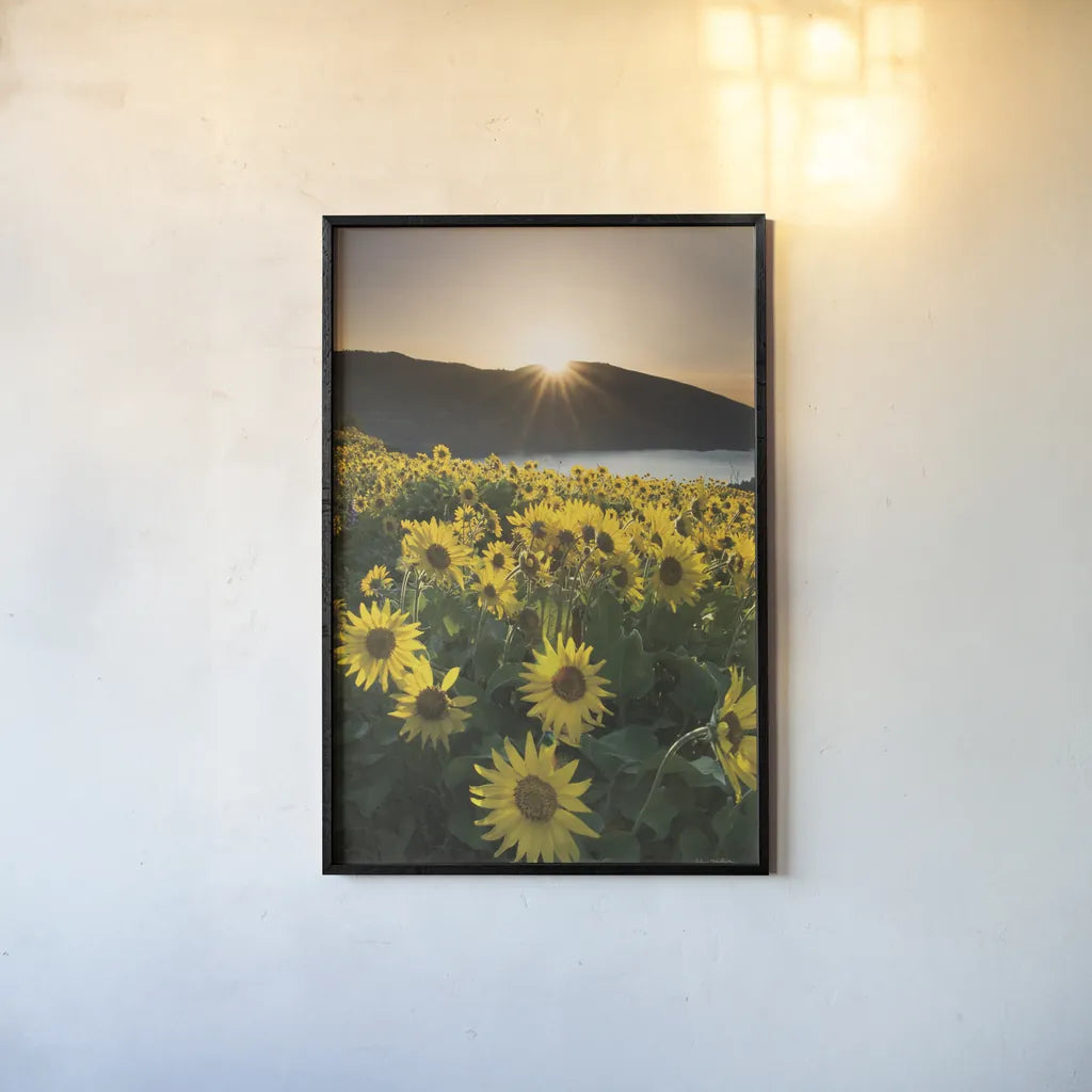 Columbia River Gorge Sunrise by Alan Majchrowicz. shown as a paper print in a black flame. Available as a archival giclee rolled canvas, fine art paper, or poster print. SKU 33789h.