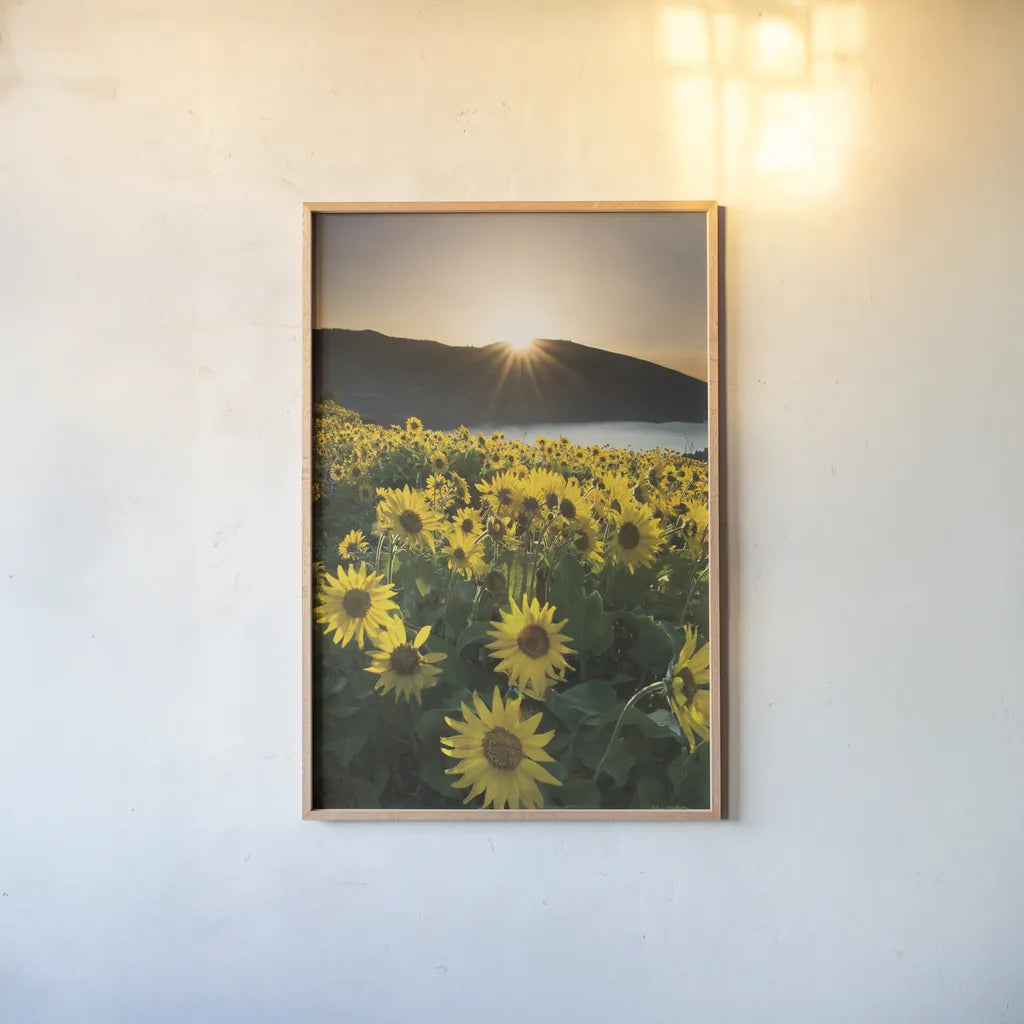 Columbia River Gorge Sunrise by Alan Majchrowicz. shown as a paper print in a natural frame. Available as a archival giclee rolled canvas, fine art paper, or poster print. SKU 33789h.