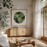 Corn Lily Circle II by Alan Majchrowicz. Shown in a natural wood frame in a cozy modern living room. Available as an archival giclee rolled canvas, fine art paper, or poster print. SKU 66122a.
