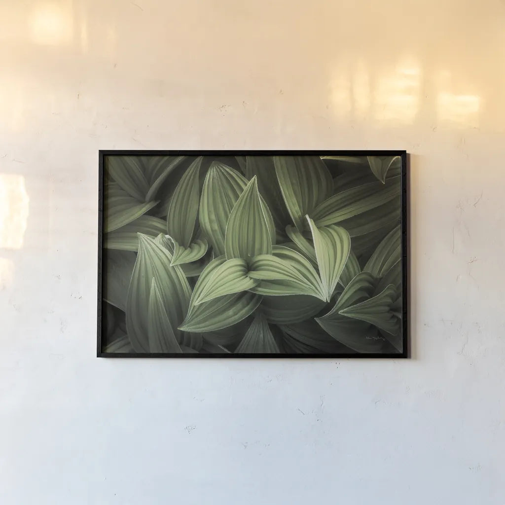 Corn Lily I by Alan Majchrowicz. shown as a paper print in a black flame. Available as a archival giclee rolled canvas, fine art paper, or poster print. SKU 63243i.