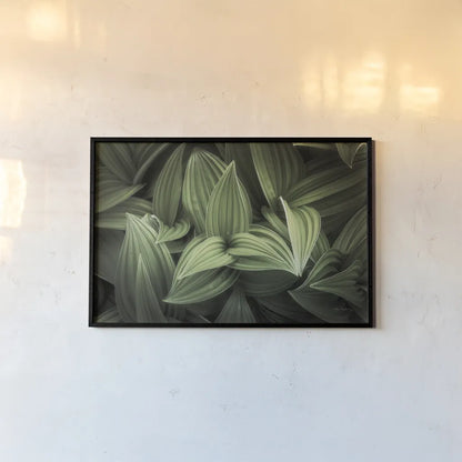 Corn Lily I by Alan Majchrowicz. shown as a paper print in a black flame. Available as a archival giclee rolled canvas, fine art paper, or poster print. SKU 63243i.