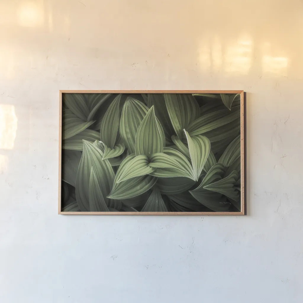 Corn Lily I by Alan Majchrowicz. shown as a paper print in a natural frame. Available as a archival giclee rolled canvas, fine art paper, or poster print. SKU 63243i.