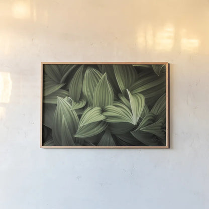 Corn Lily I by Alan Majchrowicz. shown as a paper print in a natural frame. Available as a archival giclee rolled canvas, fine art paper, or poster print. SKU 63243i.