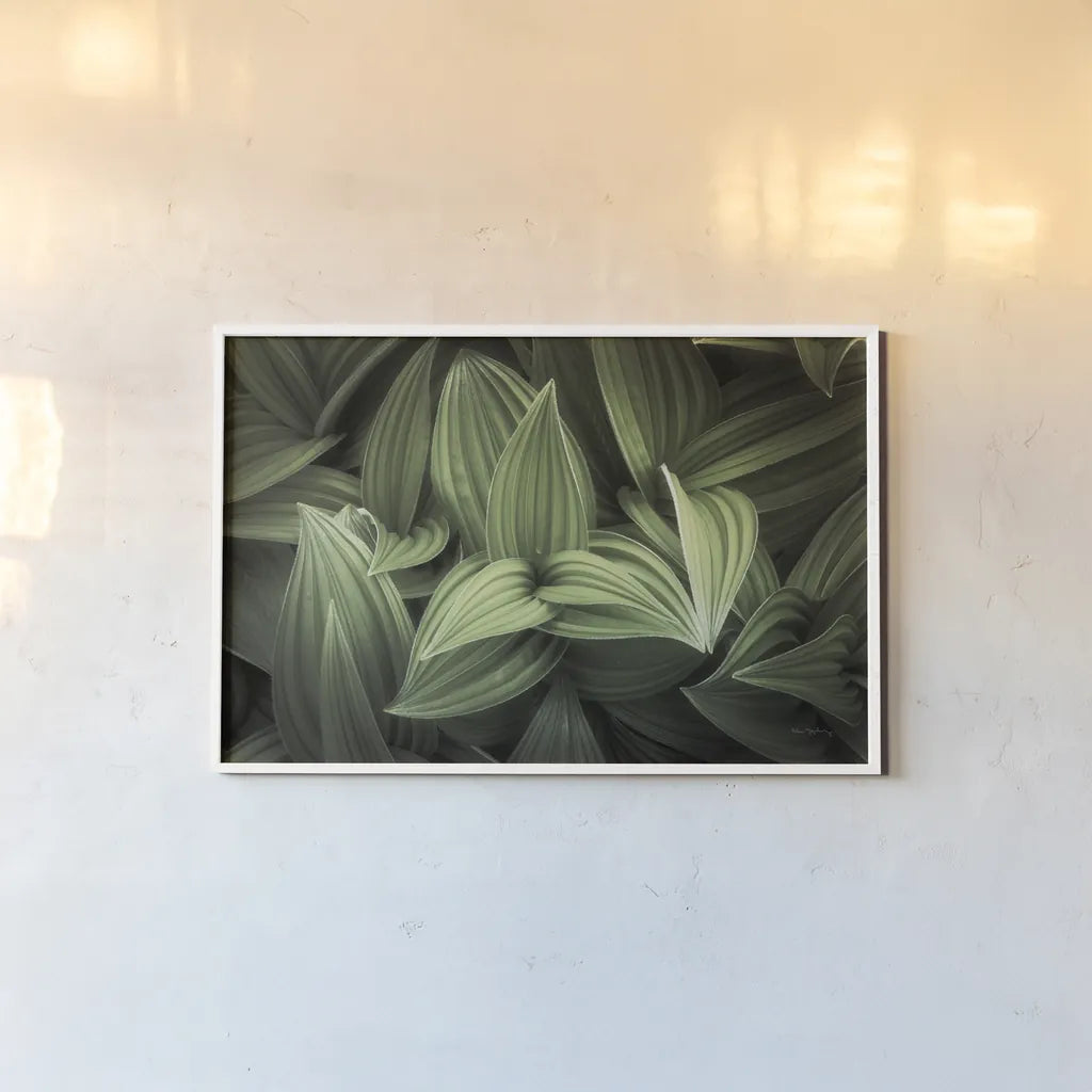 Corn Lily I by Alan Majchrowicz. shown as a paper print in a white frame. Available as a archival giclee rolled canvas, fine art paper, or poster print. SKU 63243i.