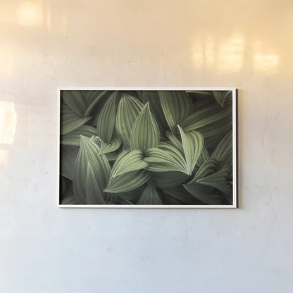Corn Lily I by Alan Majchrowicz. shown as a paper print in a white frame. Available as a archival giclee rolled canvas, fine art paper, or poster print. SKU 63243i.