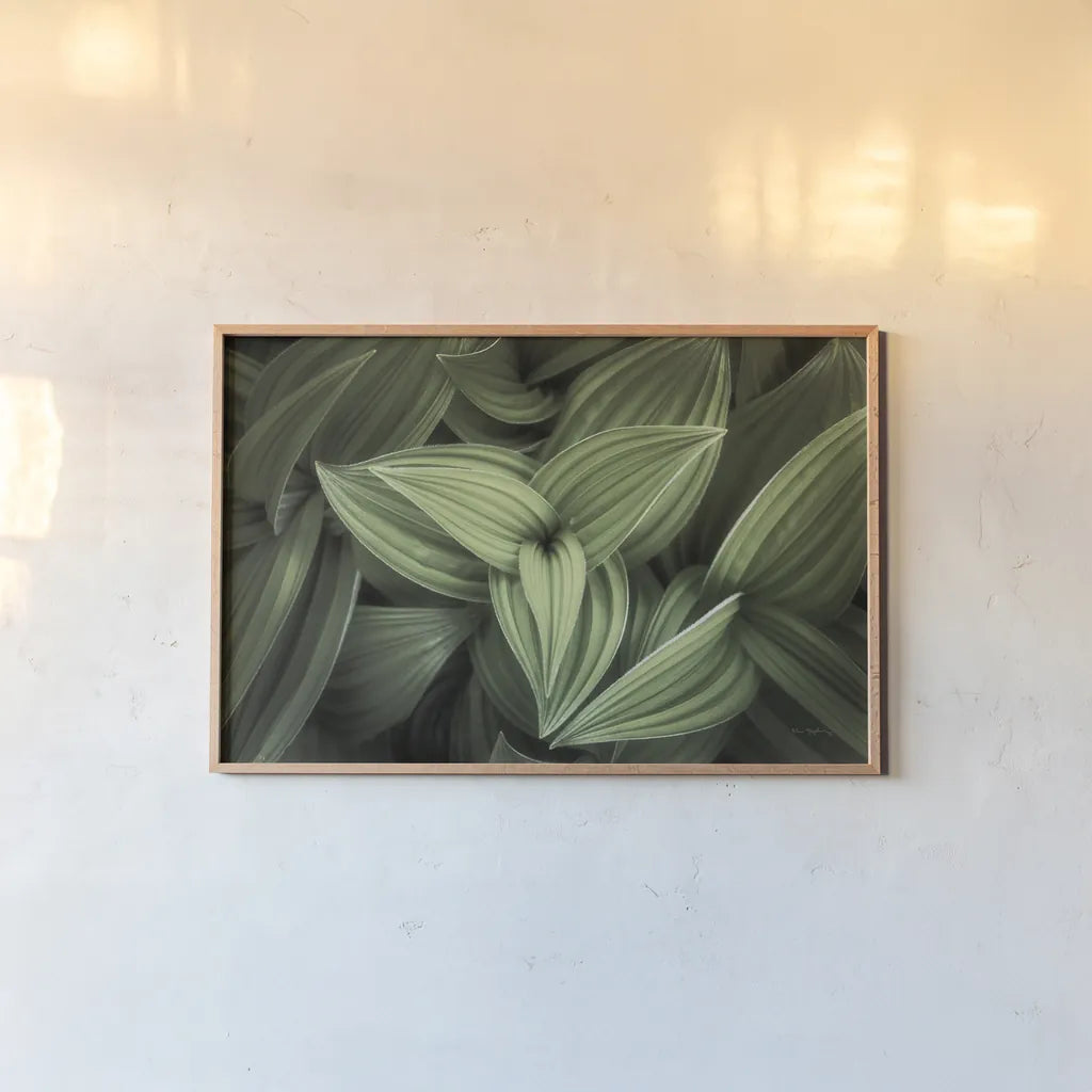 Corn Lily II by Alan Majchrowicz. shown as a paper print in a natural frame. Available as a archival giclee rolled canvas, fine art paper, or poster print. SKU 63244i.