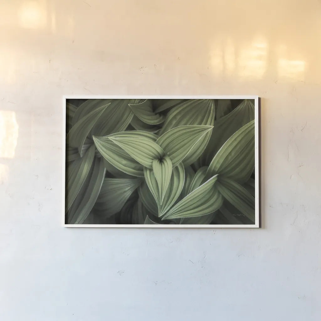 Corn Lily II by Alan Majchrowicz. shown as a paper print in a white frame. Available as a archival giclee rolled canvas, fine art paper, or poster print. SKU 63244i.