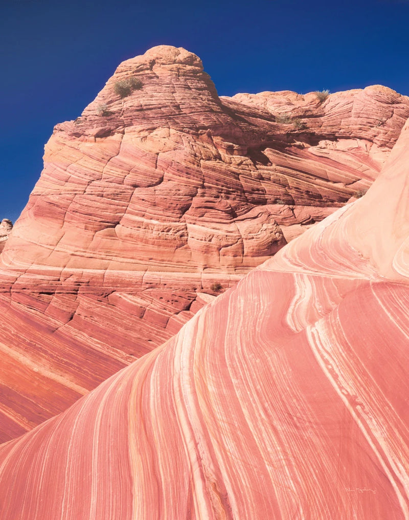 Coyote Buttes I Blush by Alan Majchrowicz