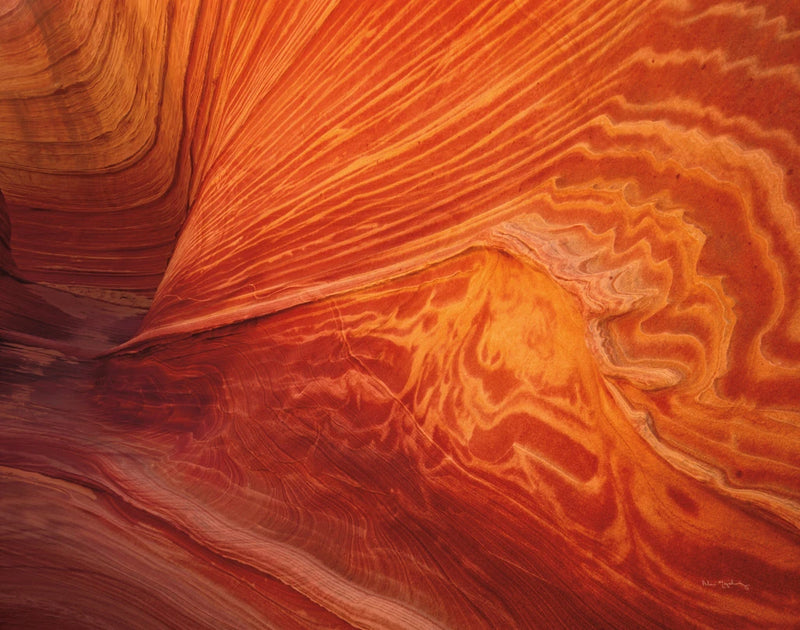 Coyote Buttes II by Alan Majchrowicz