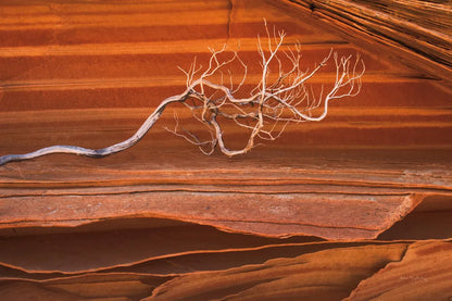 Coyote Buttes III by Alan Majchrowicz. SKU 53282i. Archival Giclee Fine art print for wall decor.