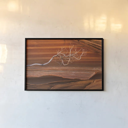 Coyote Buttes III by Alan Majchrowicz. shown as a paper print in a black flame. Available as a archival giclee rolled canvas, fine art paper, or poster print. SKU 53282i.