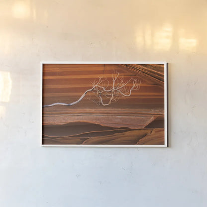 Coyote Buttes III by Alan Majchrowicz. shown as a paper print in a white frame. Available as a archival giclee rolled canvas, fine art paper, or poster print. SKU 53282i.