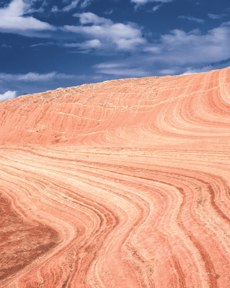 Coyote Buttes V Blush Orange Crop by Alan Majchrowicz
