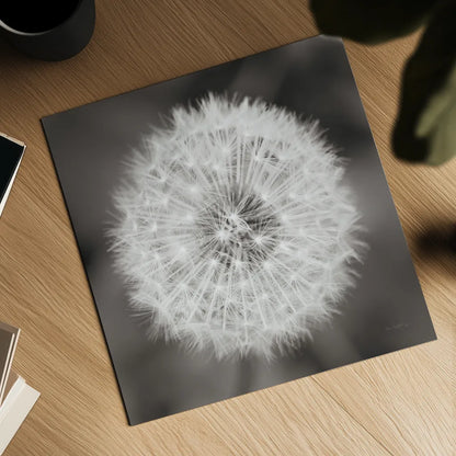 Dandelion Seedhead by Alan Majchrowicz. Shown as a detailed flat fine art print, highlighting archival giclee quality. Available as an archival giclee rolled canvas, fine art paper, or poster print. SKU 46215a.