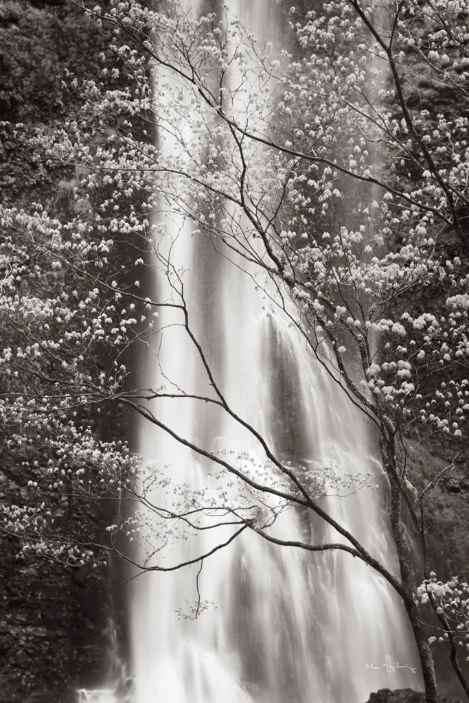 Double Falls I by Alan Majchrowicz. SKU 43961h. Archival Giclee Fine art print for wall decor.