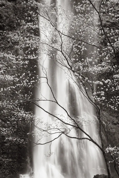 Double Falls I by Alan Majchrowicz. SKU 43961h. Archival Giclee Fine art print for wall decor.