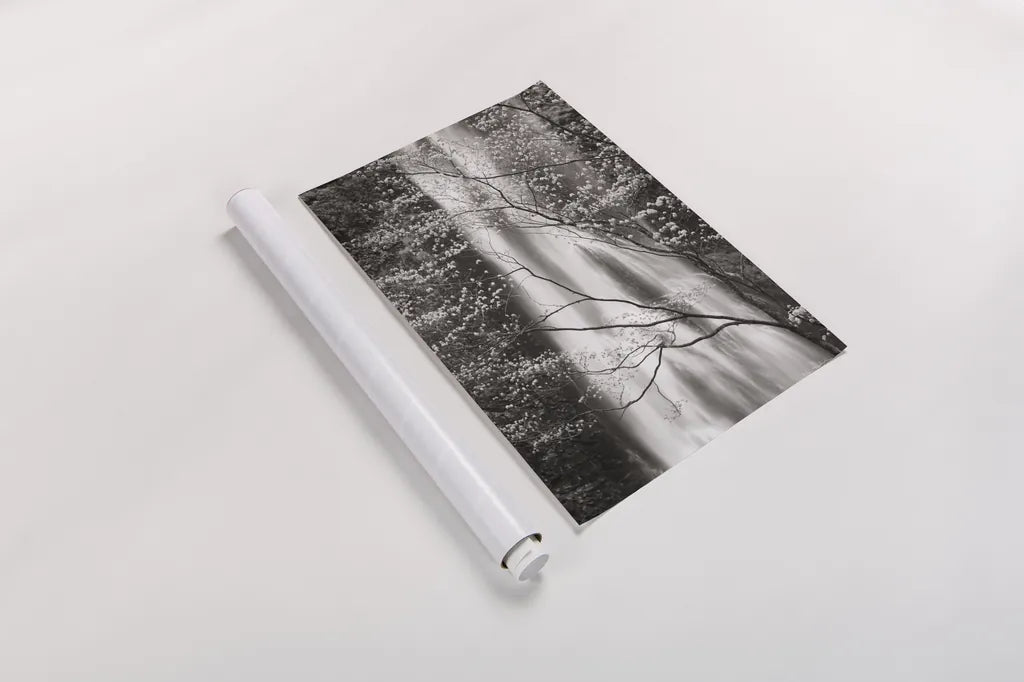 Double Falls I by Alan Majchrowicz. shown as a rolled paper print. Available as archival giclee rolled canvas, fine art paper, or poster print. SKU 43961h.