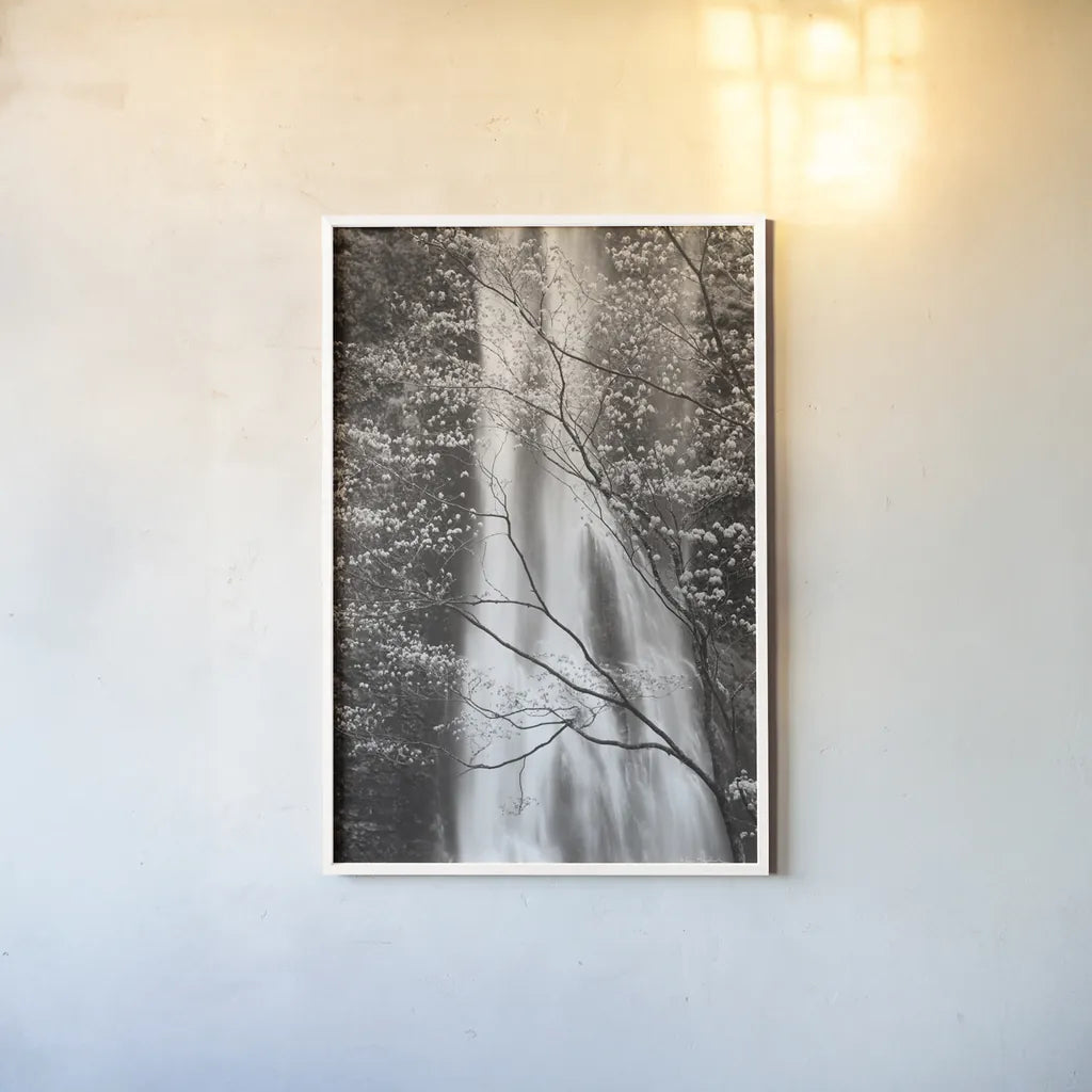 Double Falls I by Alan Majchrowicz. shown as a paper print in a white frame. Available as a archival giclee rolled canvas, fine art paper, or poster print. SKU 43961h.