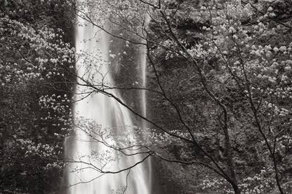 Double Falls II by Alan Majchrowicz. SKU 12956i. Archival Giclee Fine art print for wall decor.