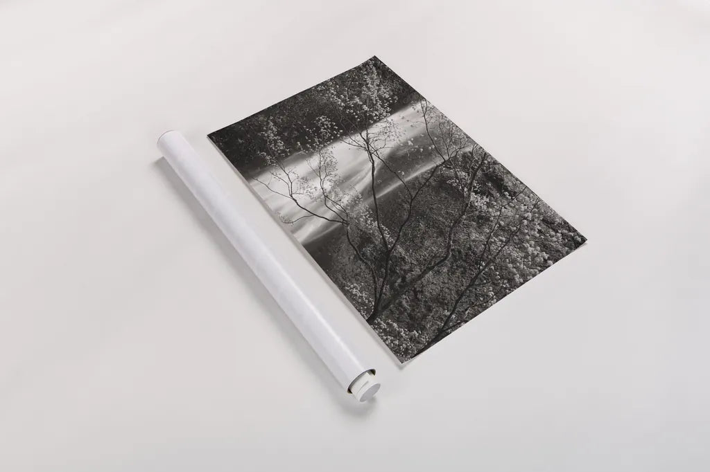 Double Falls II by Alan Majchrowicz. shown as a rolled paper print. Available as archival giclee rolled canvas, fine art paper, or poster print. SKU 12956i.