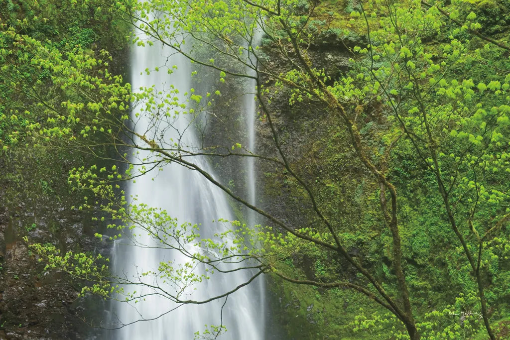 Double Falls II Color by Alan Majchrowicz. SKU 25996i. Archival Giclee Fine art print for wall decor.