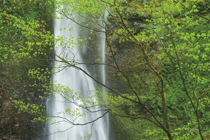 Double Falls II Color by Alan Majchrowicz. SKU 25996i. Archival Giclee Fine art print for wall decor.