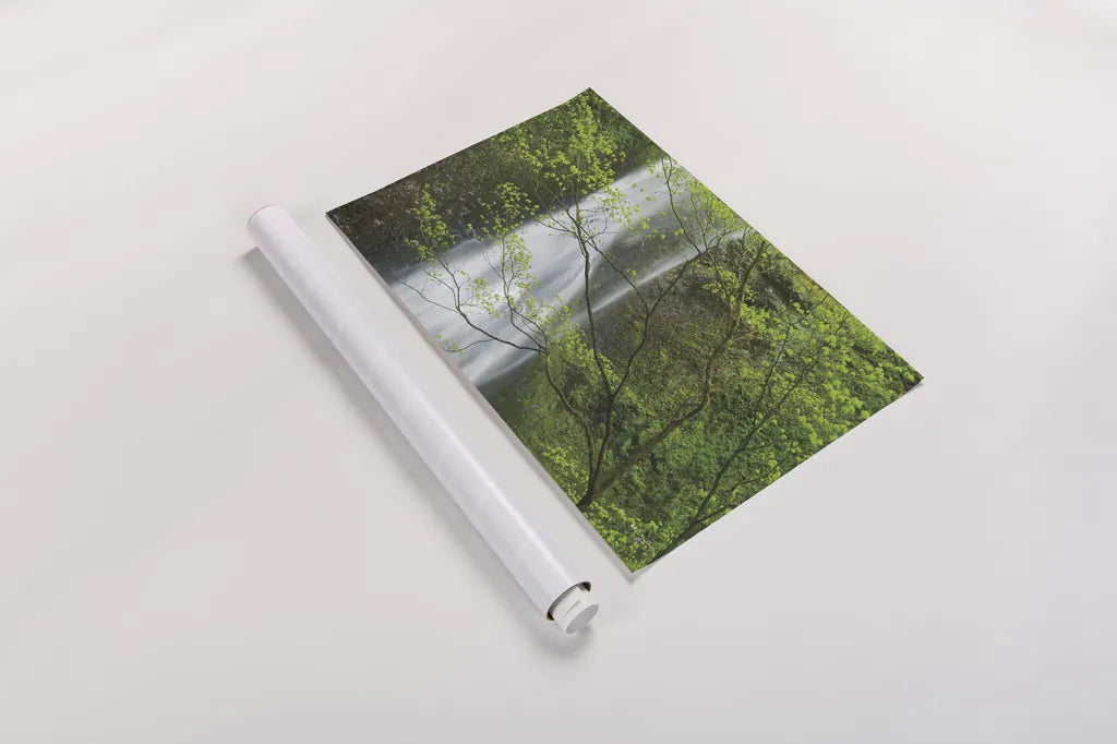 Double Falls II Color by Alan Majchrowicz. shown as a rolled paper print. Available as archival giclee rolled canvas, fine art paper, or poster print. SKU 25996i.