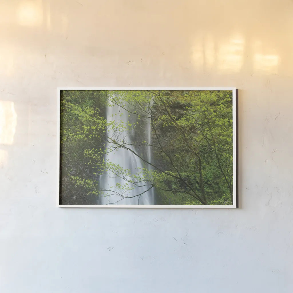 Double Falls II Color by Alan Majchrowicz. shown as a paper print in a white frame. Available as a archival giclee rolled canvas, fine art paper, or poster print. SKU 25996i.