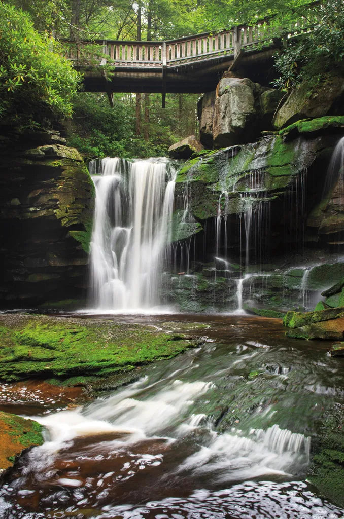 Elakala Falls West I by Alan Majchrowicz. SKU 50161h. Archival Giclee Fine art print for wall decor.