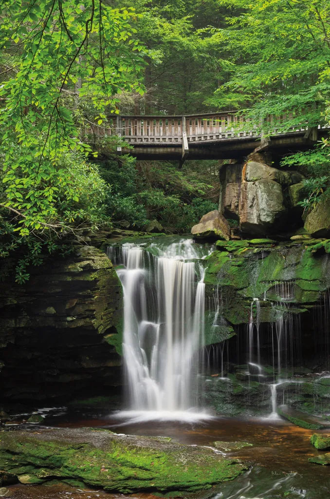 Elakala Falls West II by Alan Majchrowicz. SKU 50162h. Archival Giclee Fine art print for wall decor.