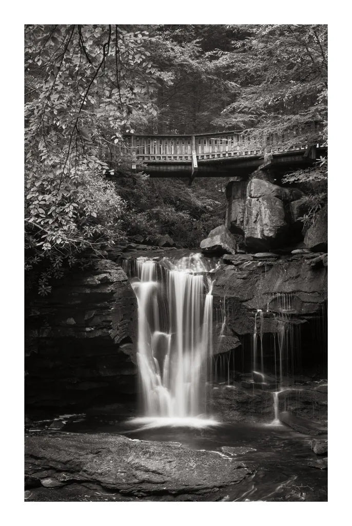 Elakala Falls West II BW by Alan Majchrowicz. SKU 50164h. Archival Giclee Fine art print for wall decor.