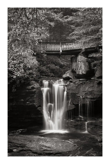 Elakala Falls West II BW by Alan Majchrowicz. SKU 50164h. Archival Giclee Fine art print for wall decor.