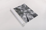 Fir Trees I by Alan Majchrowicz. shown as a rolled paper print. Available as archival giclee rolled canvas, fine art paper, or poster print. SKU 30202h.