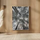 Fir Trees I by Alan Majchrowicz. shown as over sized large wall art. Available as an archival giclee rolled canvas, fine art paper, or poster print. SKU 30202h.